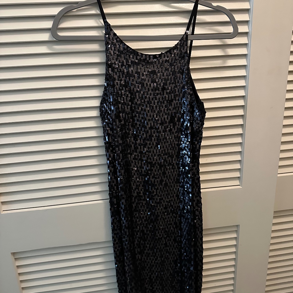 All Saints Black And Blue Beaded Midi Dress